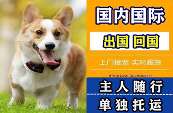 绍兴市宠物托运公司绍兴市宠物托运公司绍兴市宠物托运公司
