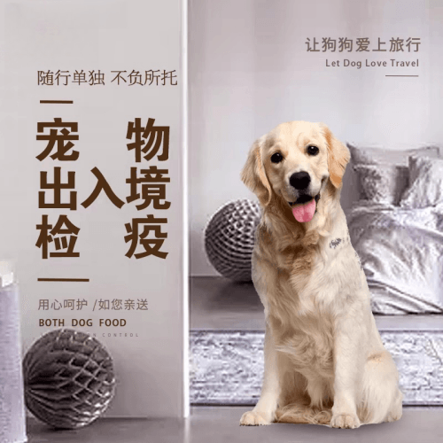 绍兴市宠物托运到哥伦比亚猫狗宠物入境规定和