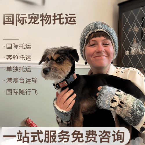 绍兴市国际宠物托运到阿根廷宠物入境规定和要