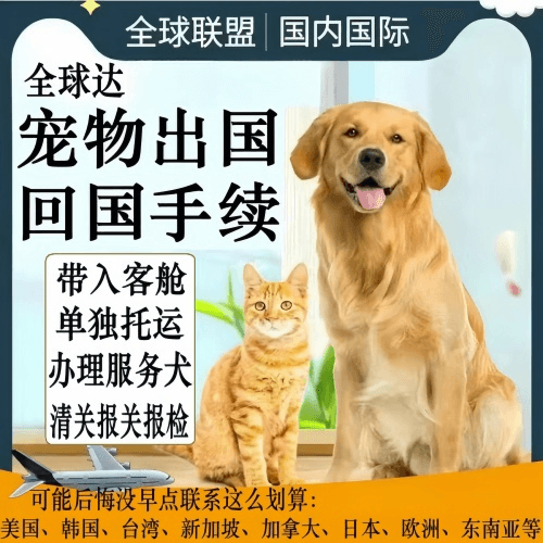 绍兴市宠物托运到柬埔寨宠物入境规定和要求