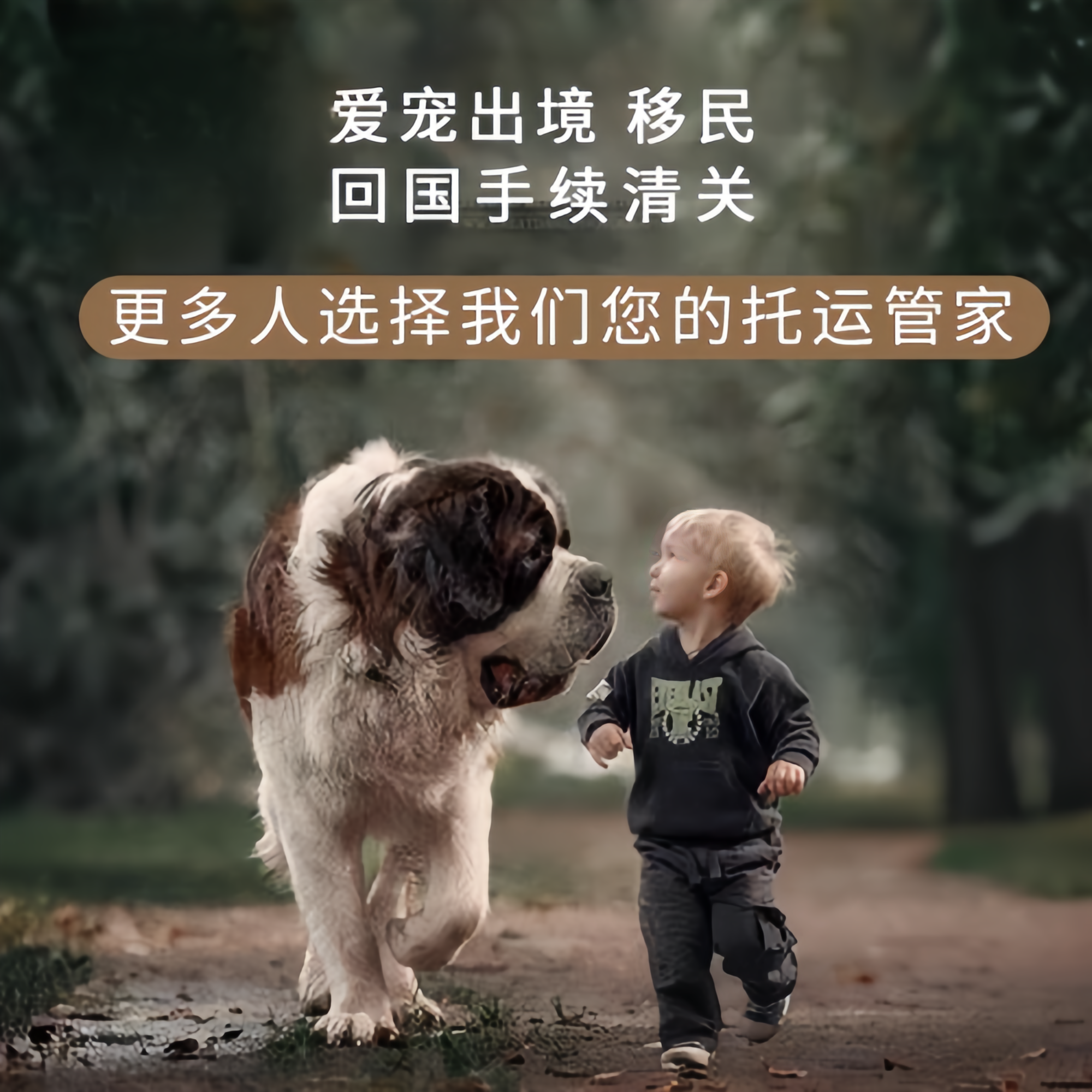 满财绍兴市宠物全球达宠物托运在遵守入境目的地政策的条件